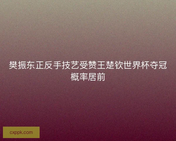 樊振东正反手技艺受赞王楚钦世界杯夺冠概率居前